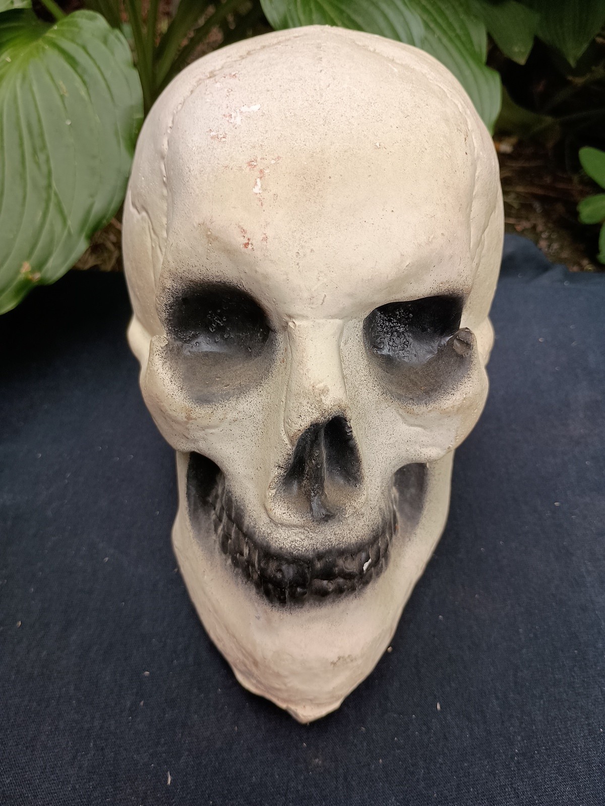 Vintage Chalkware Plaster Skull 1960s