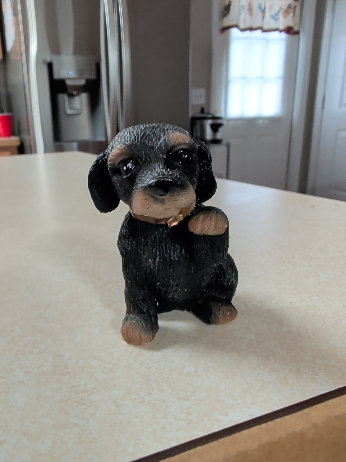 Country Artist Rottweiler Puppy