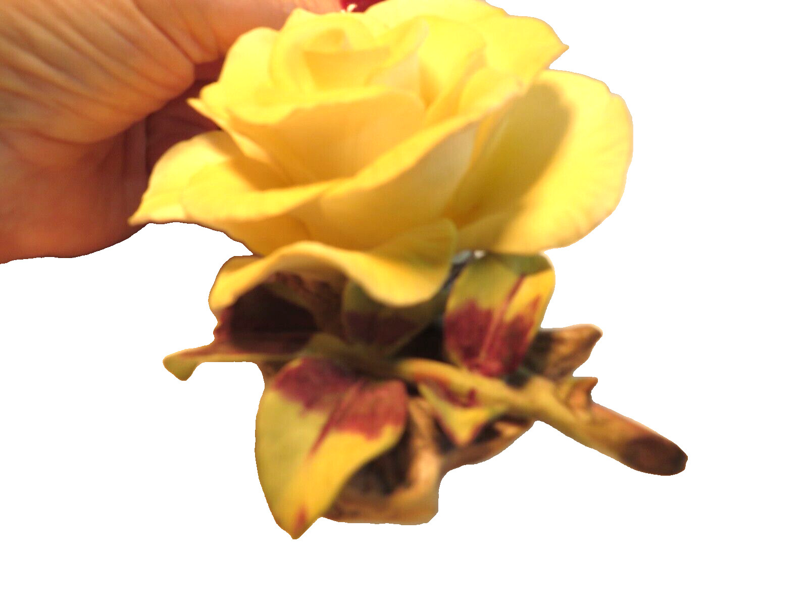 Towle Bone China Yellow Rose