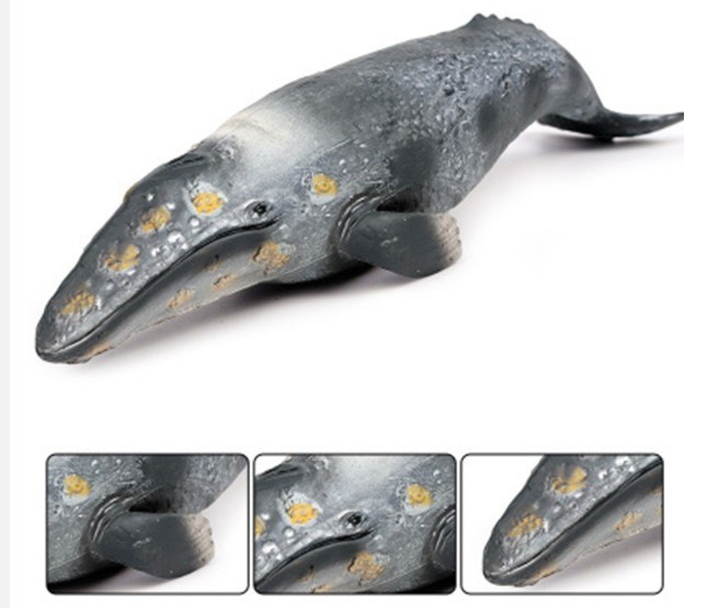 26cm Gray Whale PVC Toy Fish Ocean Sea Animal Figure Doll Kids Gift