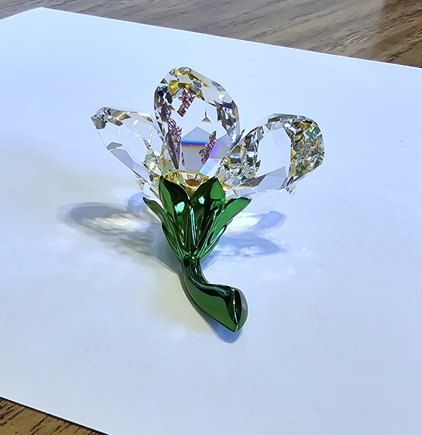 🌺 Swarovski Crystal 2025 “Florere Collection”, Hibiscus Flower Figurine NIB