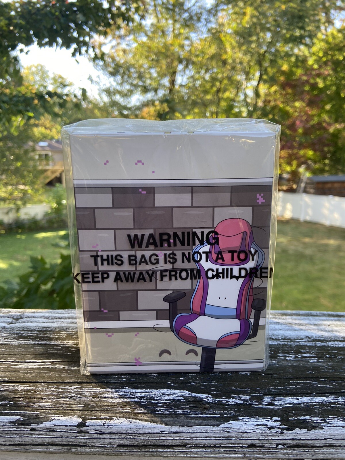 Ranboo YOUTOOZ Vinyl Figure #187 Ltd. (Unopened And Still In Wrapping!)