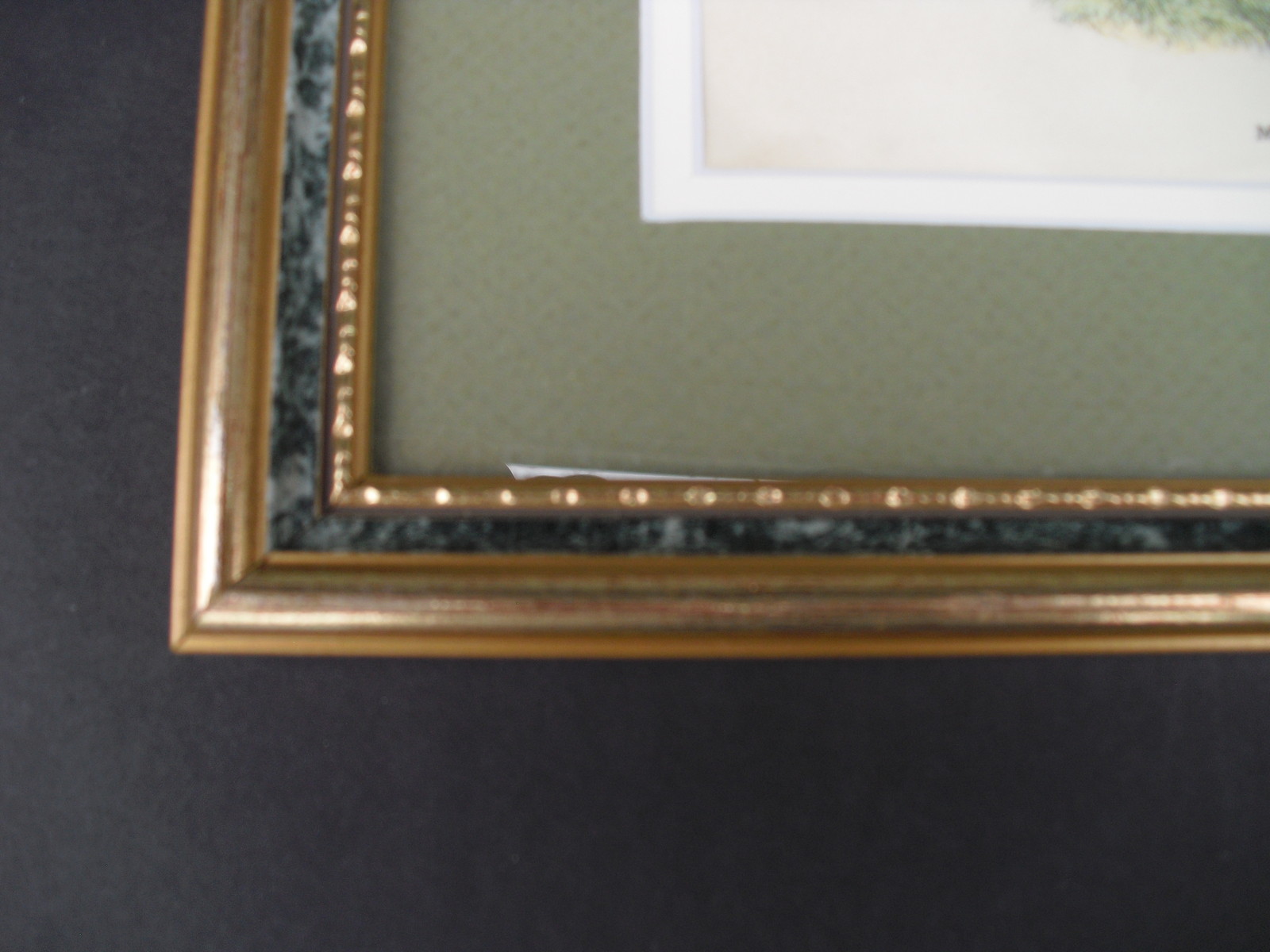 MARBLED CAT Original 1896 Lloyd’s Natural History Chromolithograph Matted Framed