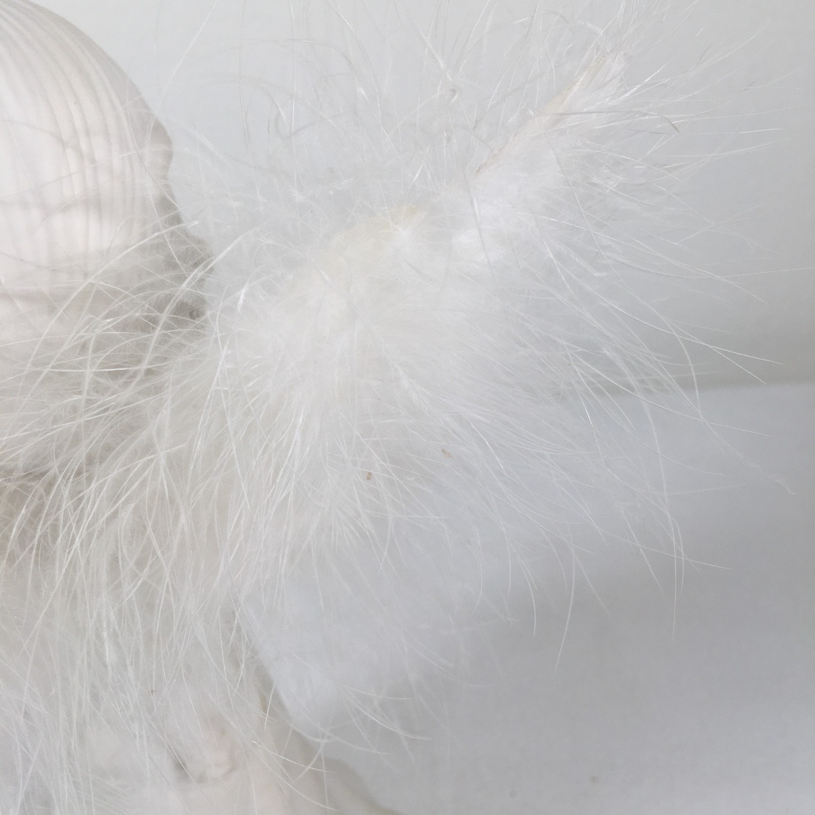Fiber Optic Praying Angle Figurine Ceramic Changing Color Lights Feather Wings