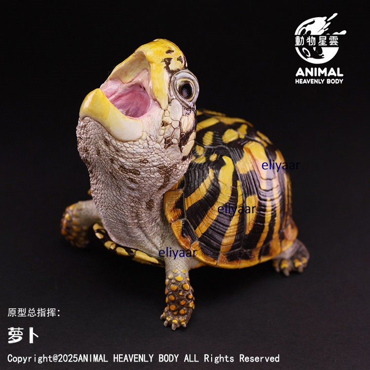 Animal Heavenly Body Ornate Box Turtle Resin Figurine Models Limited Painted Toy