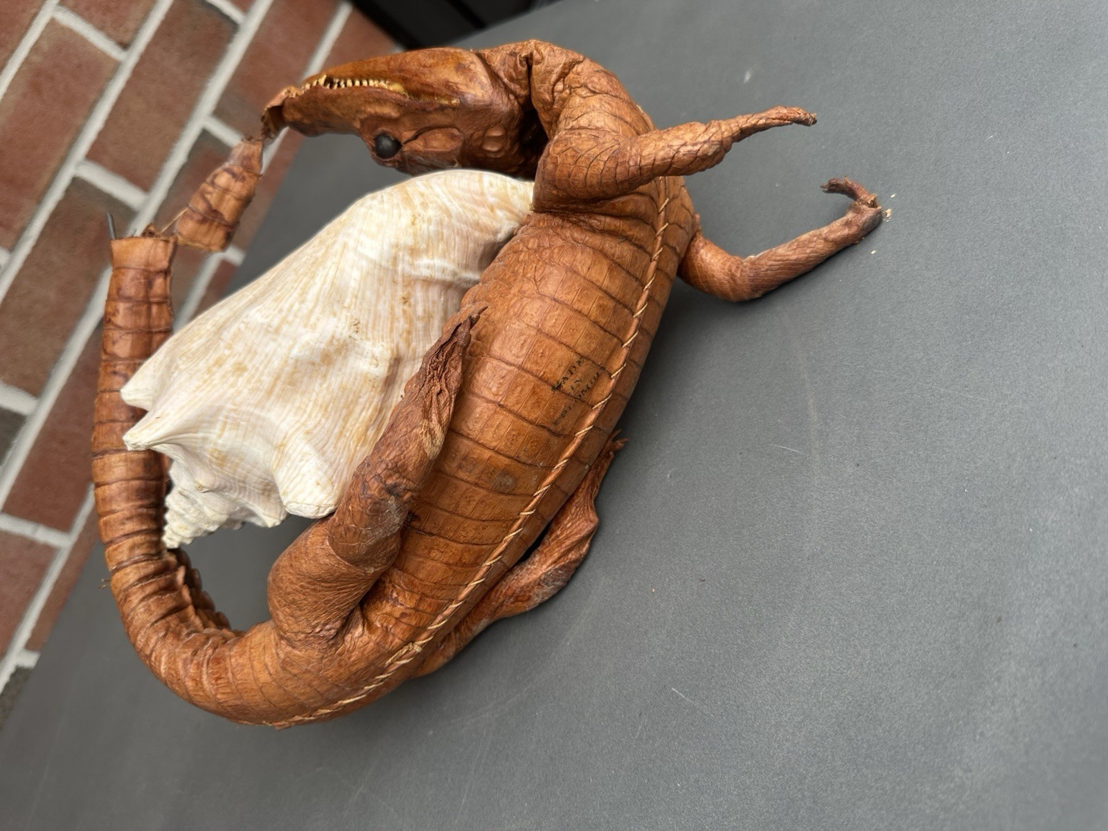 RARE Vintage Decorative Conchshell With Crocodile Or Alligator ( Not Sure Which)