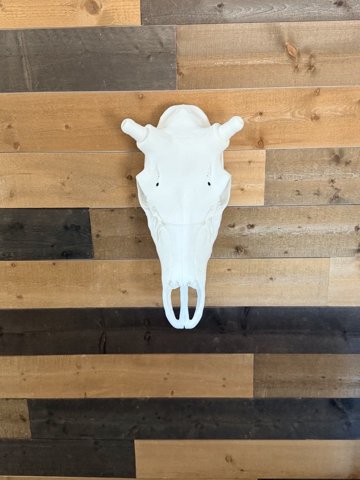 Elk euro mount with hanger 3d printed