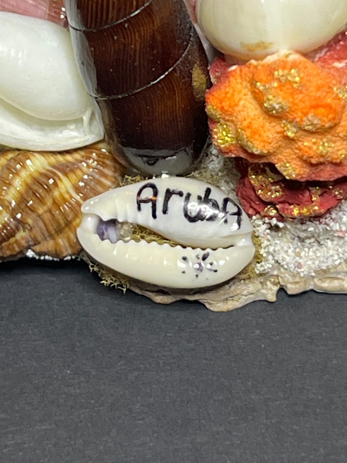 Vintage Decorative Nautical Aquatic Seashell Art Figurine Aruba Souvenir 3 x 5″