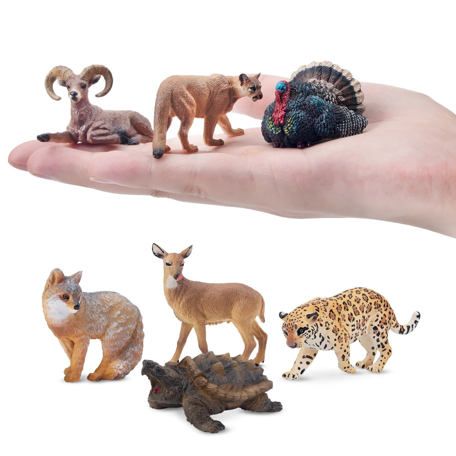 Toymany Toymany 14pcs Simulation Mini North American Animals Mod