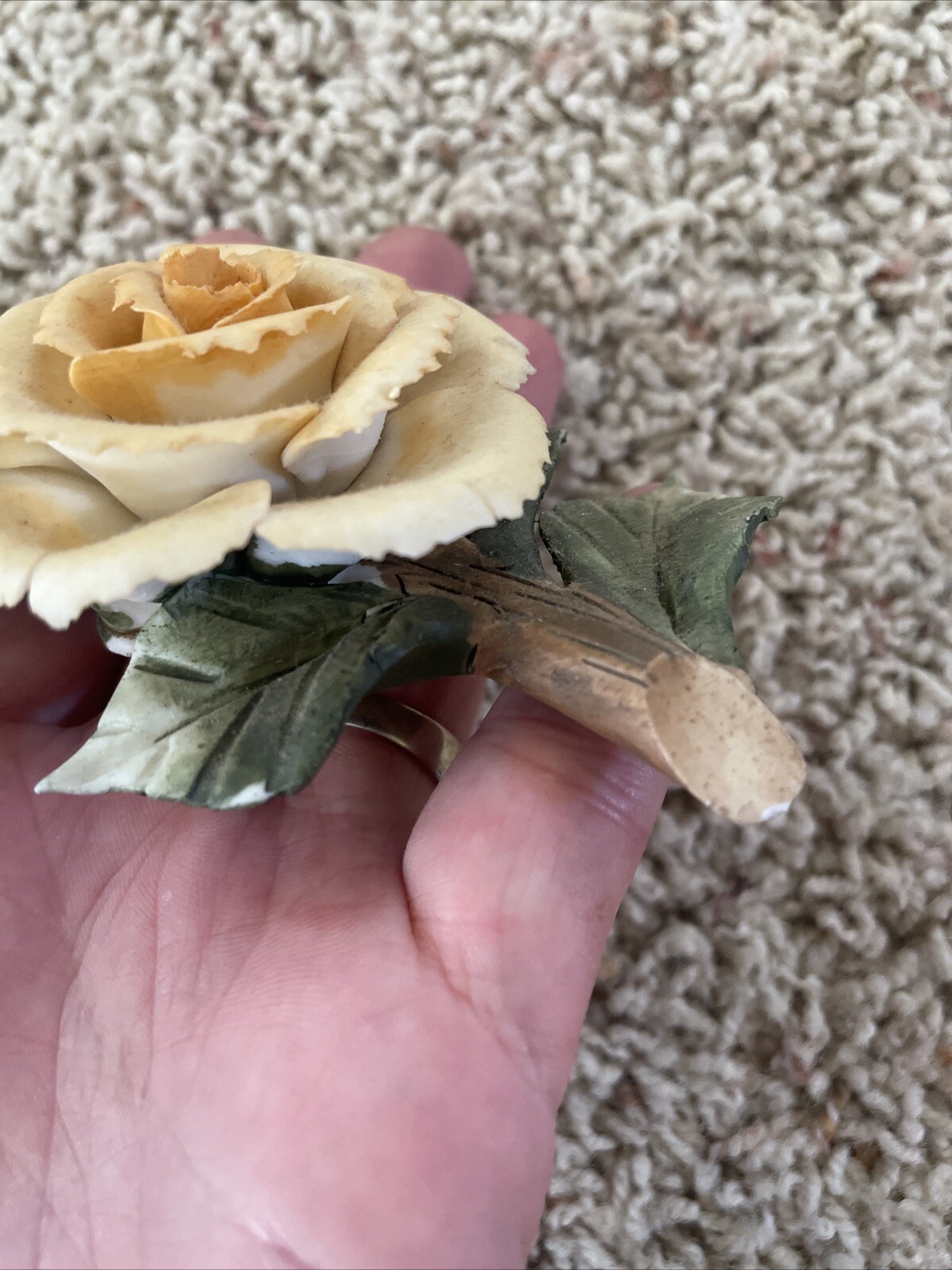 Delicate Possible Porcelain Rose On A Branch With Leaves