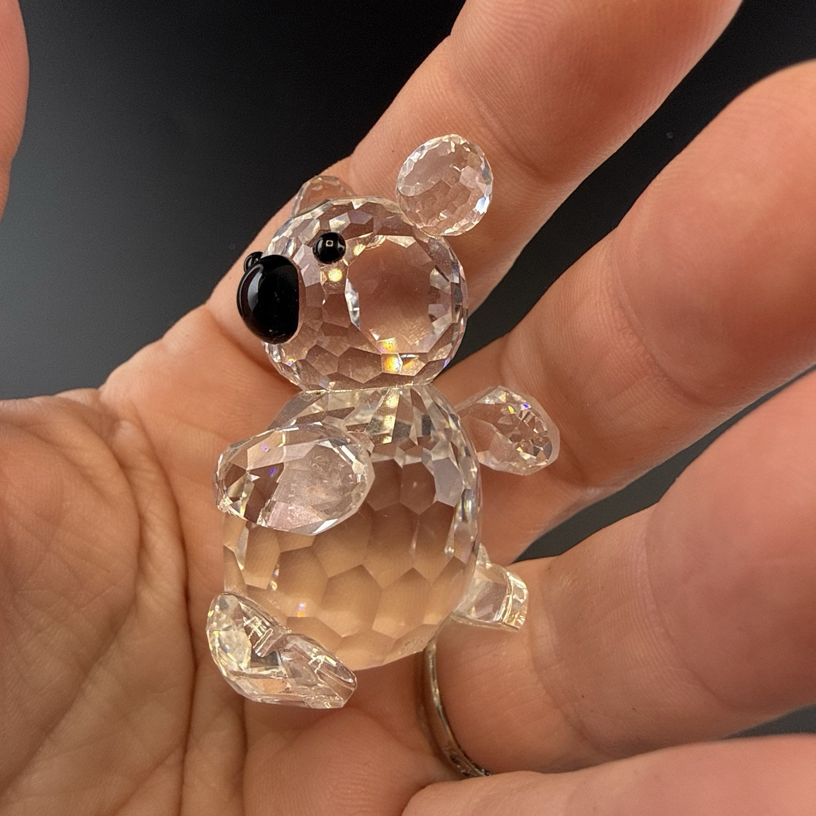 Swarovski Koala Bear Mini Australia Crystal Figurine Box Clear Austria Retired