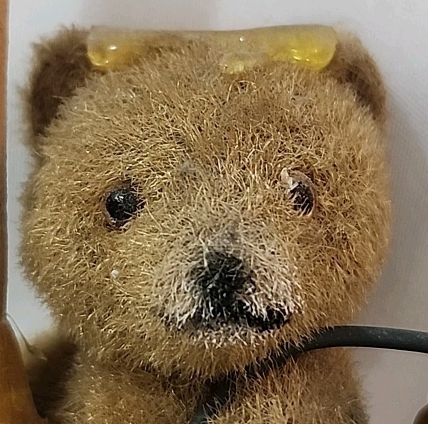 Flocked Teddy Bear & Bucket On Wooden Spoon With Honey 12″ Tall Hanging Rare EC