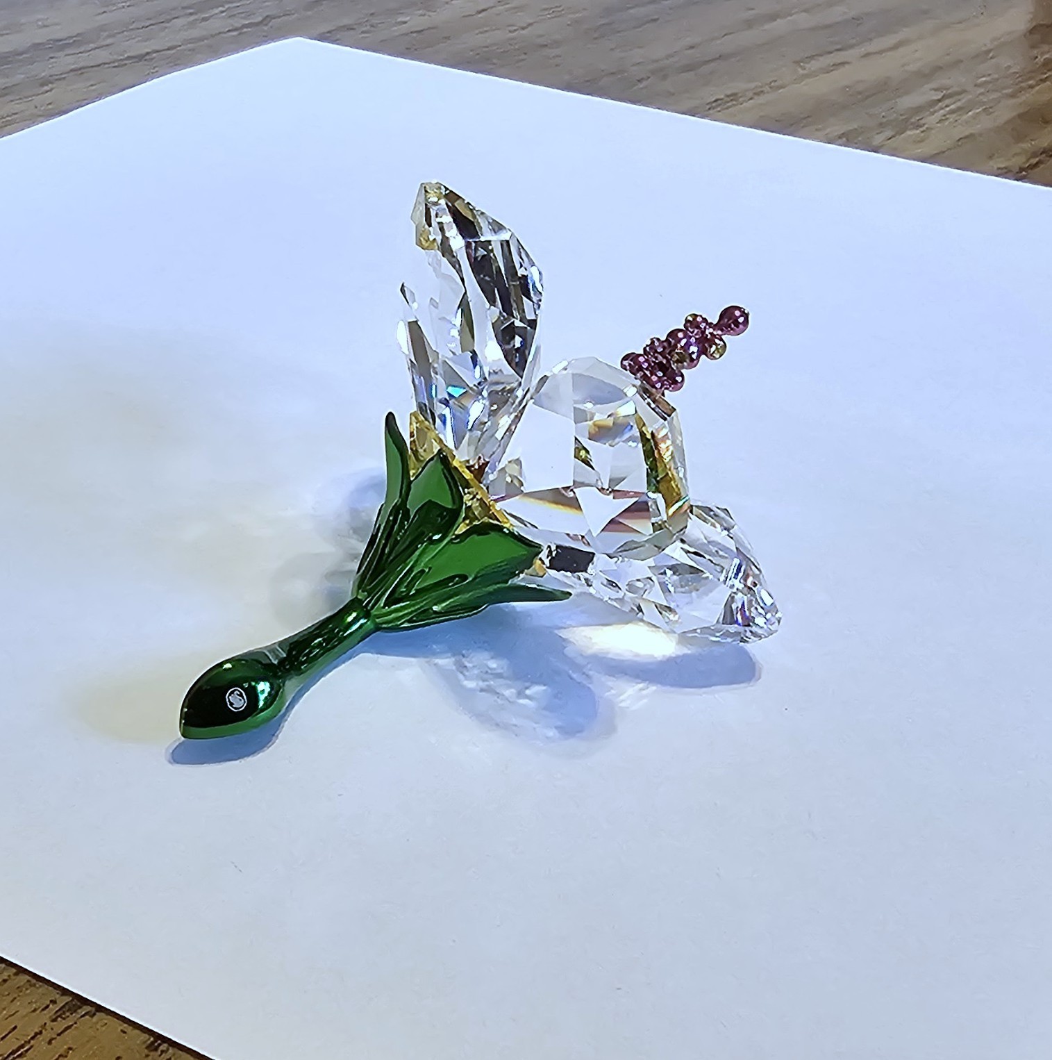 🌺 Swarovski Crystal 2025 “Florere Collection”, Hibiscus Flower Figurine NIB