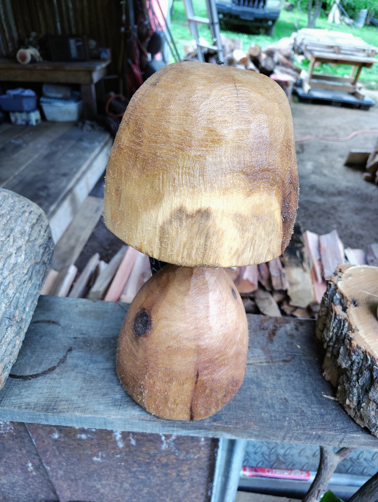 Handcrafted Mini Mushroom Sculpture Foot Tall