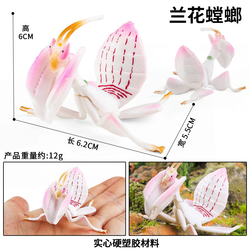 6.2cm Orchid Praying Mantis Insects PVC Toy Grasshopper Animal Figure Kids Gift