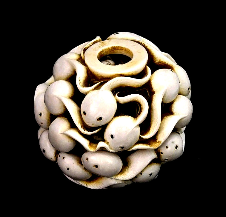Sticking Around Eden Series Frog Tadpoles Trinket Box Mimas of Warwick 2 in.