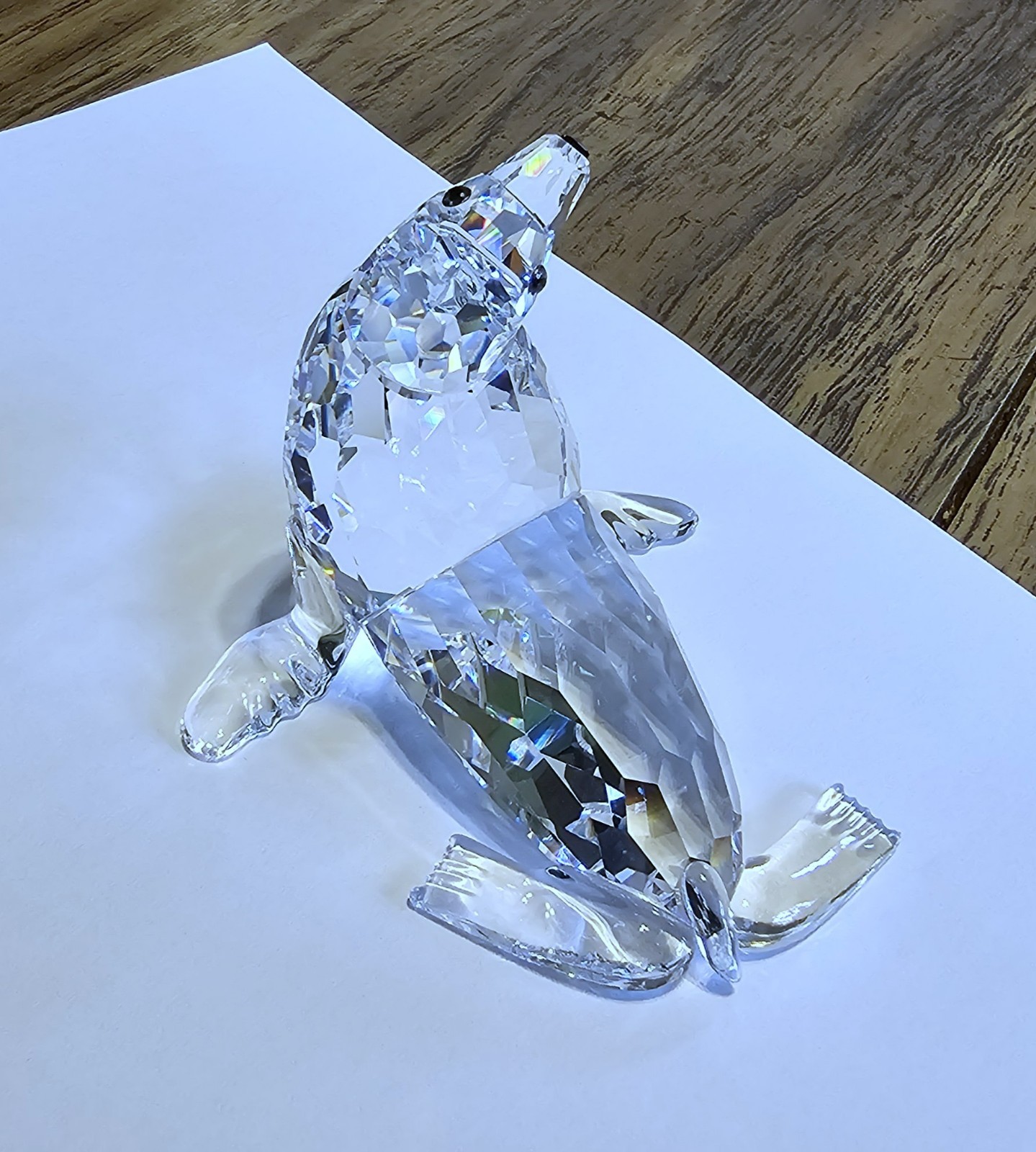 🌊 Swarovski Crystal 2005 “Aquatic Worlds”, Mother Sea Lion Figurine, Amber, NIB