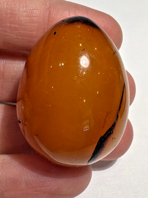 Carved Polished Natural Egg 35mm Yolk Honey Color Egg Easter Amber 16g Figurine