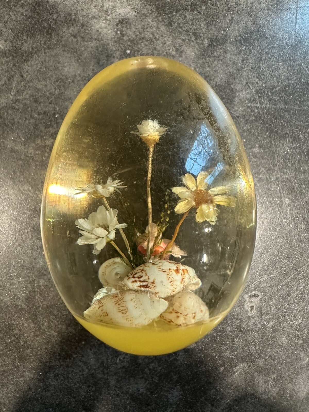 Vintage Lucite Egg with Seashells & Dried Flowers – 1960s?