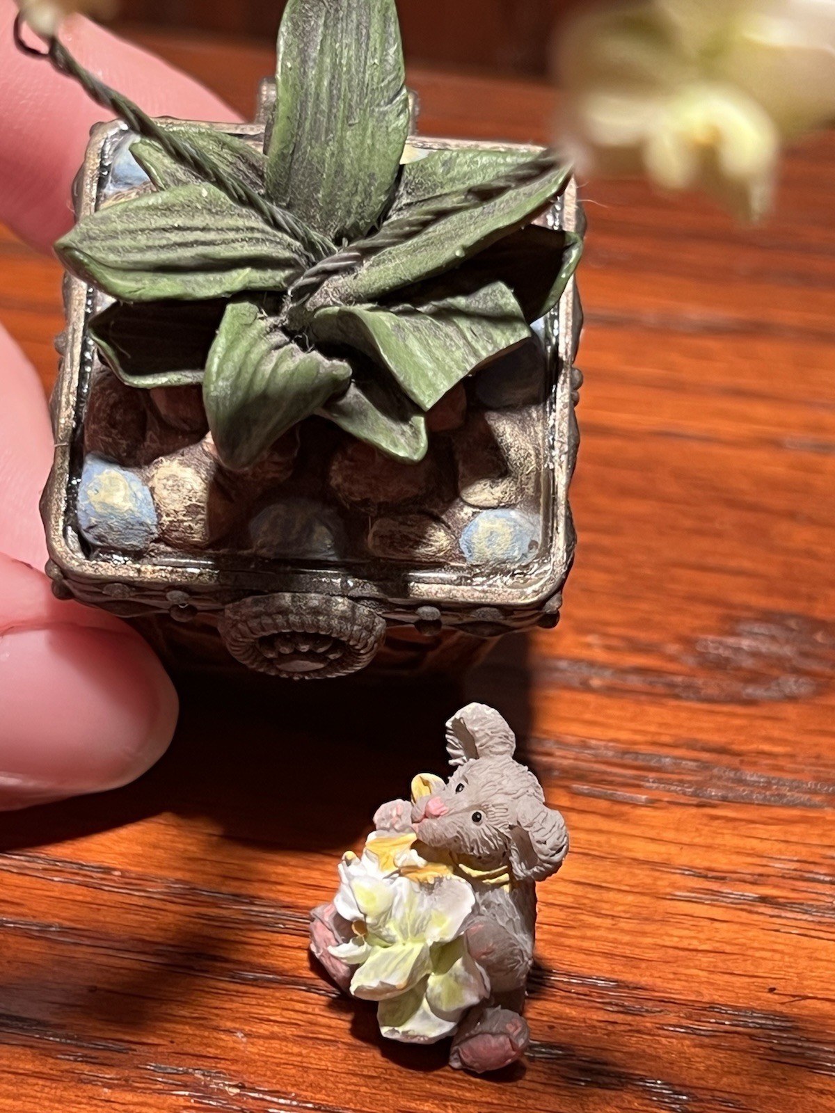 Leila’s Orchid w/ Bloom McNibble RARE **CHIPPED LEAF-Read Description**