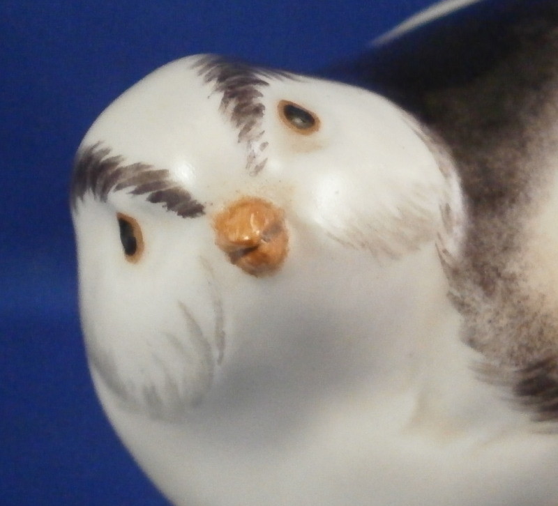 Augarten Wien Porcelain Cute Bird Figurine Figure Porzellan Vogel Figur Vienna