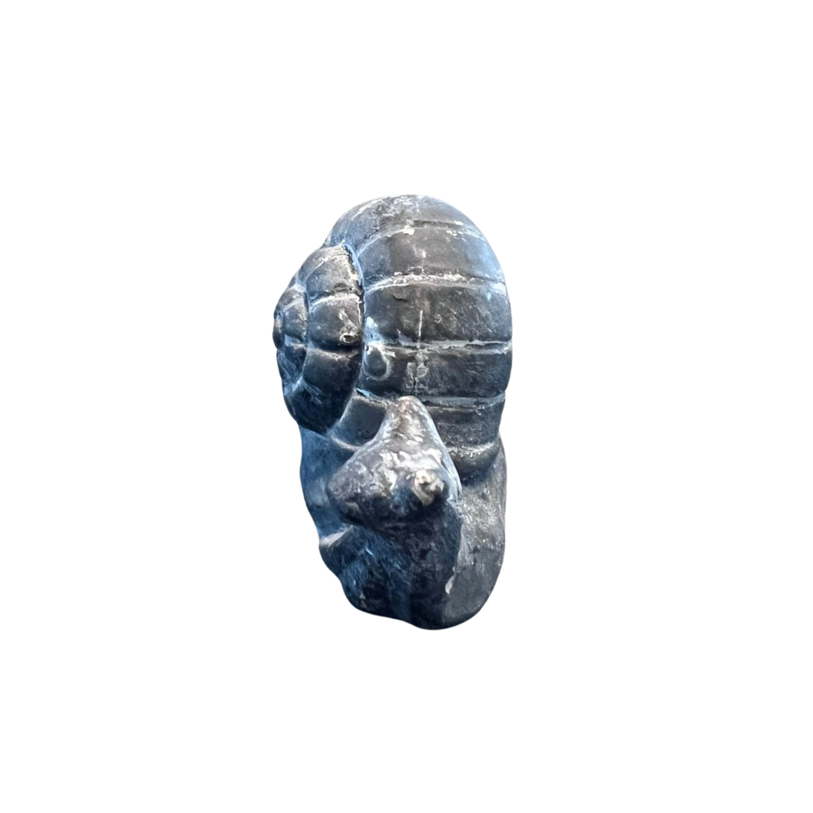 Decorative Snail Sitter/Figurine