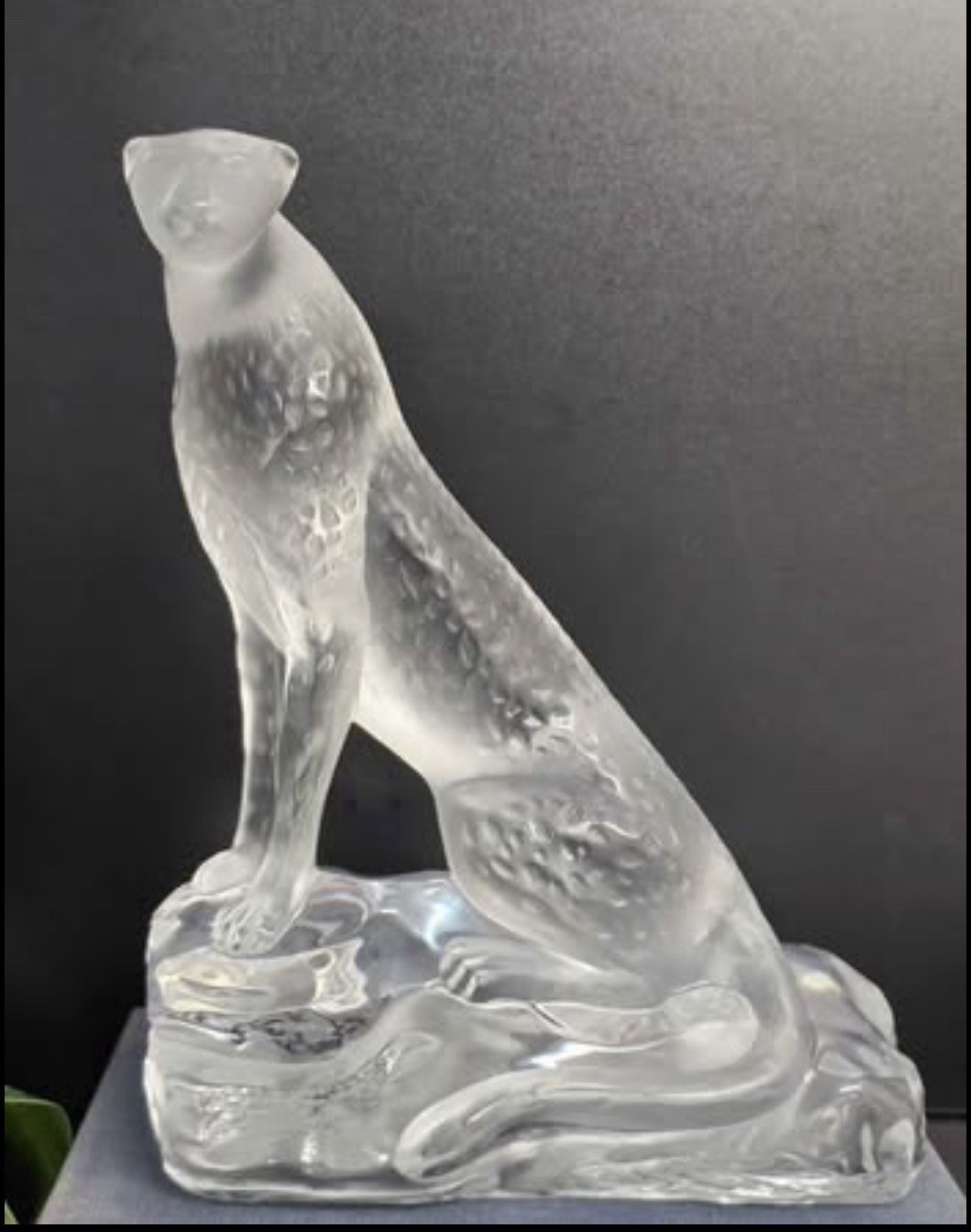 Lalique “Tancréde” Frosted Crystal Cheetah Figurine with Original Box