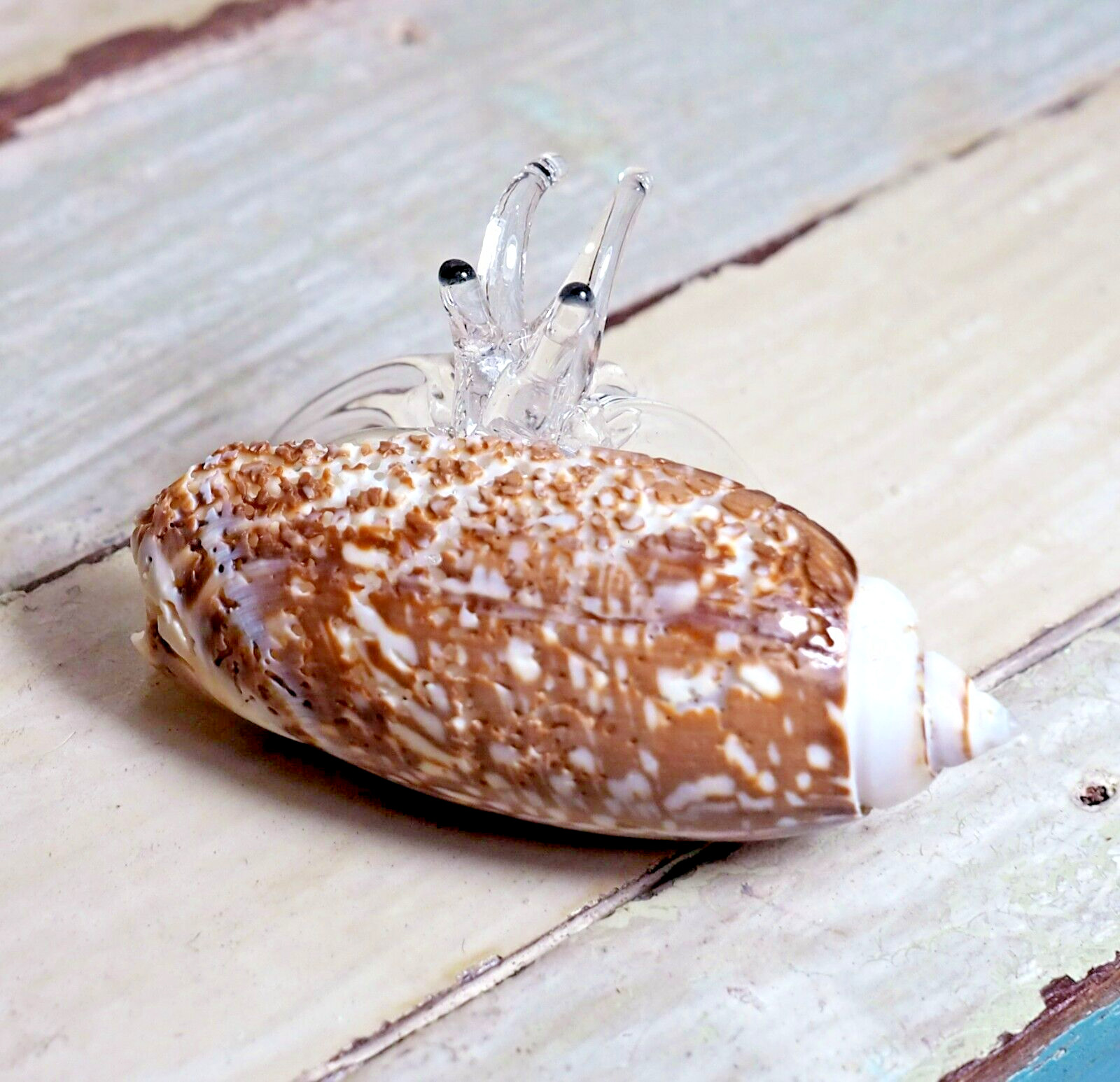 Seashell HERMIT CRAB handmade blown glass figurine Home Decor Gift – Cute