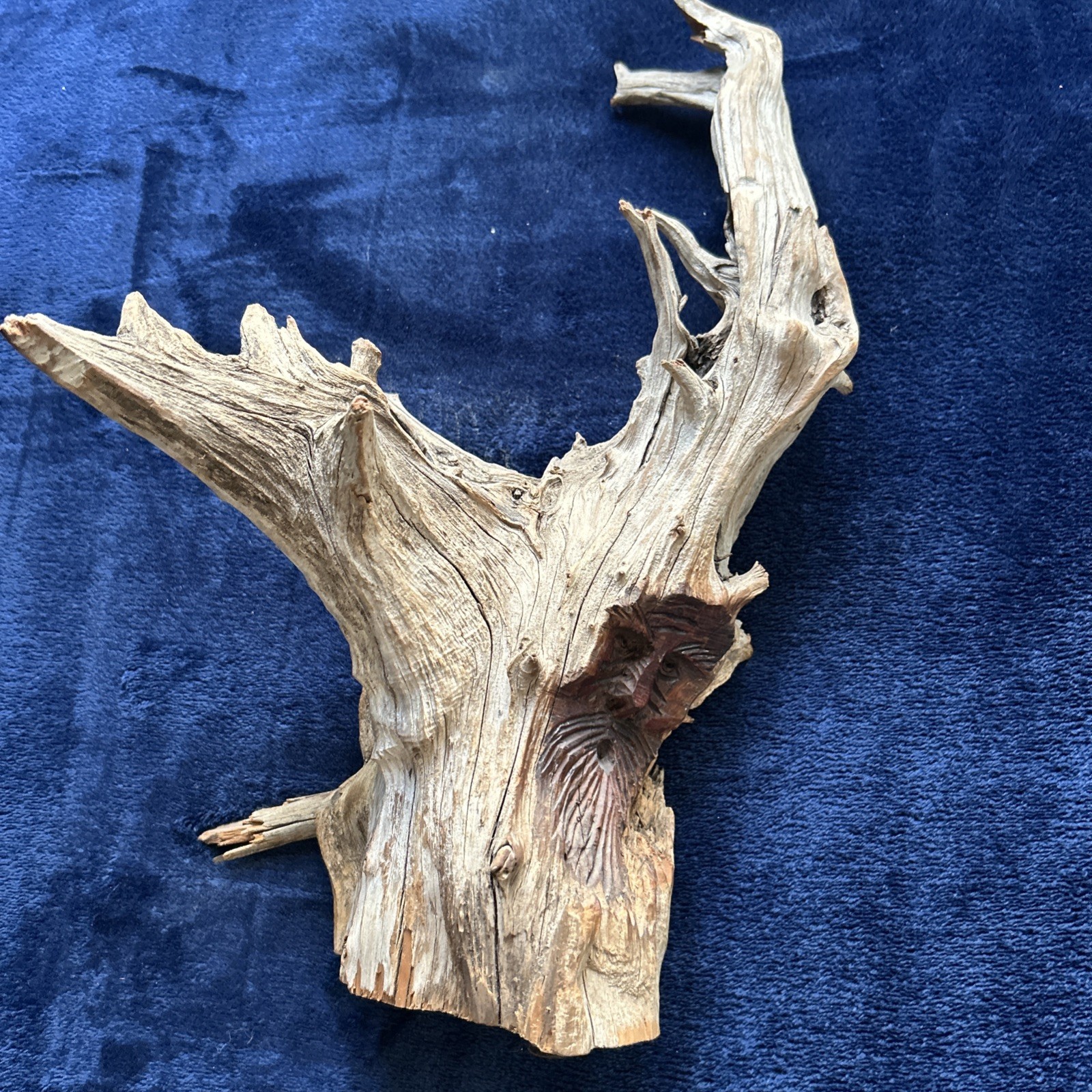 Vintage 1972 Large American Natural Driftwood Carved Sculpture Signed by Artist