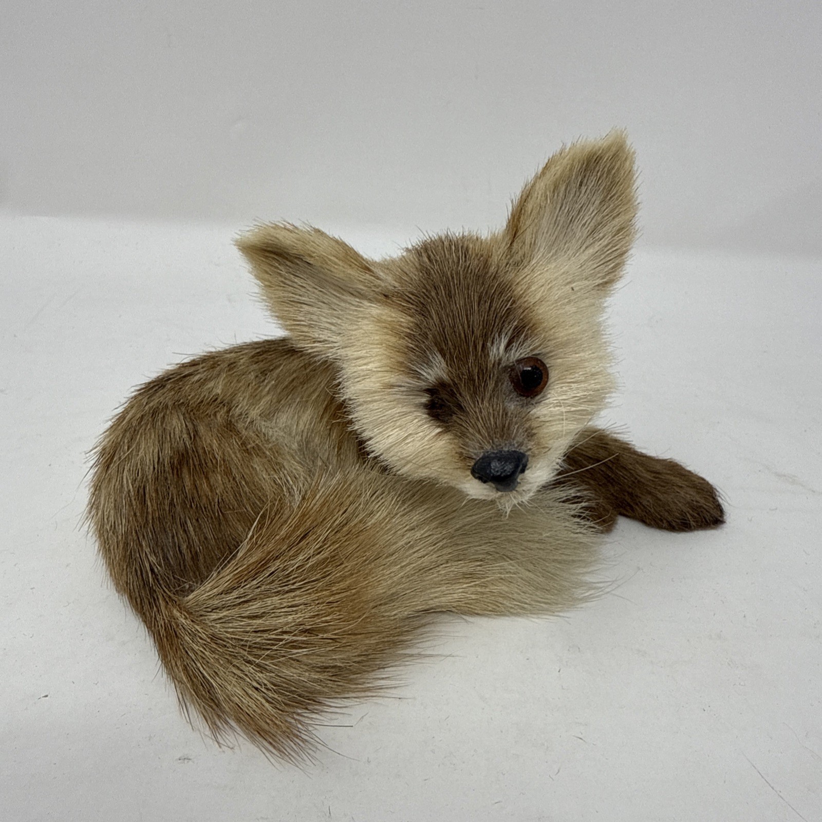 Antique Vintage Real Fur Laying FOX Statue Glass Eyes Rare READ