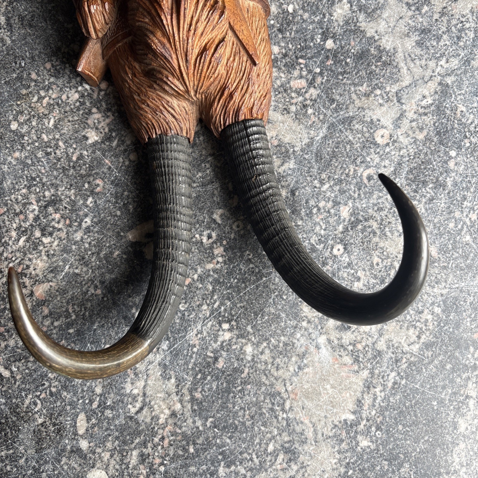 LARGE BLACK FOREST HAND-CARVED FOX WHIP HOOK ANTHROPOMORPHIC GLASS EYES “READ”