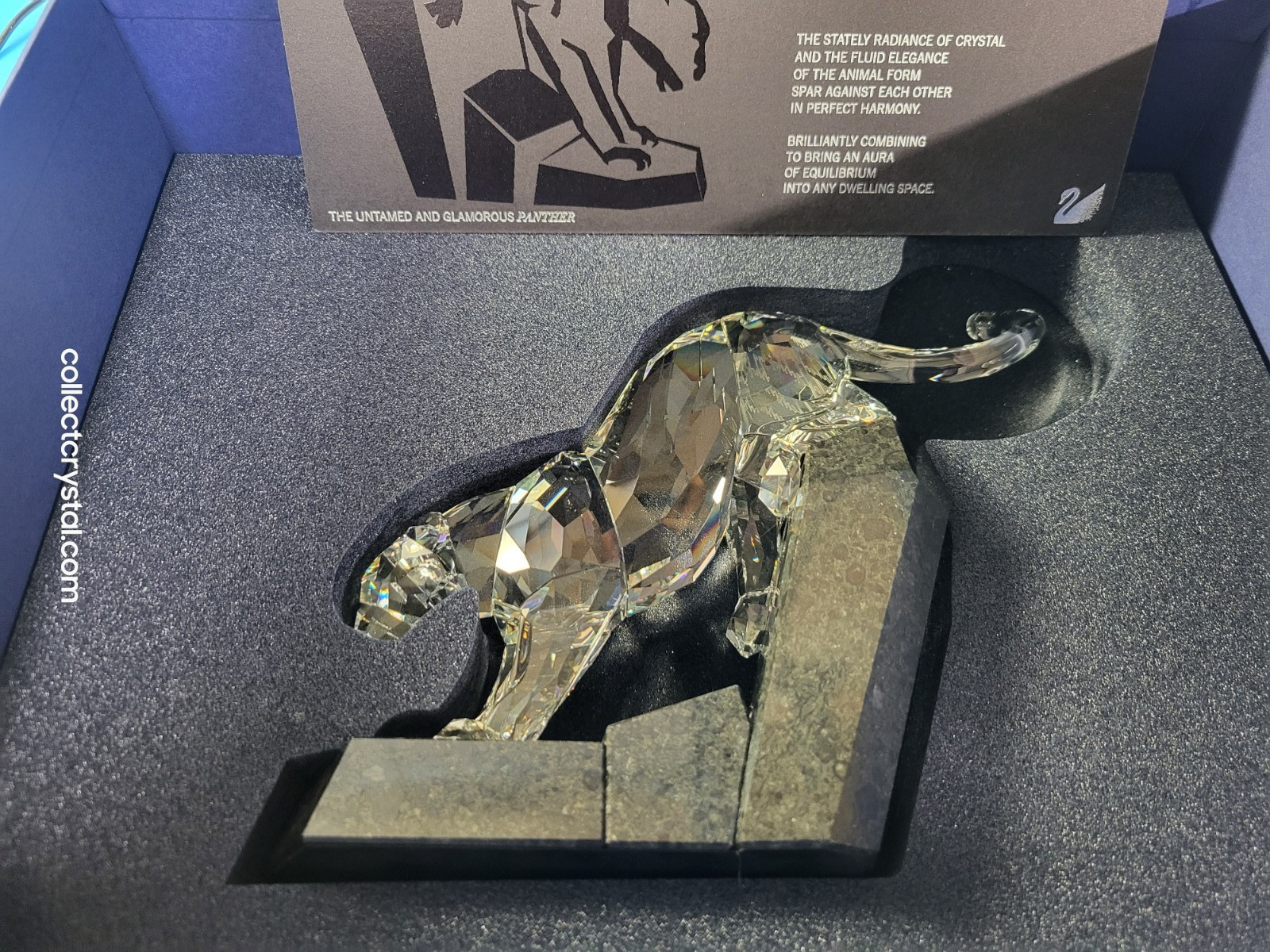 Swarovski Crystal SOULMATES PANTHER CLEAR 874337 5155678 G2U