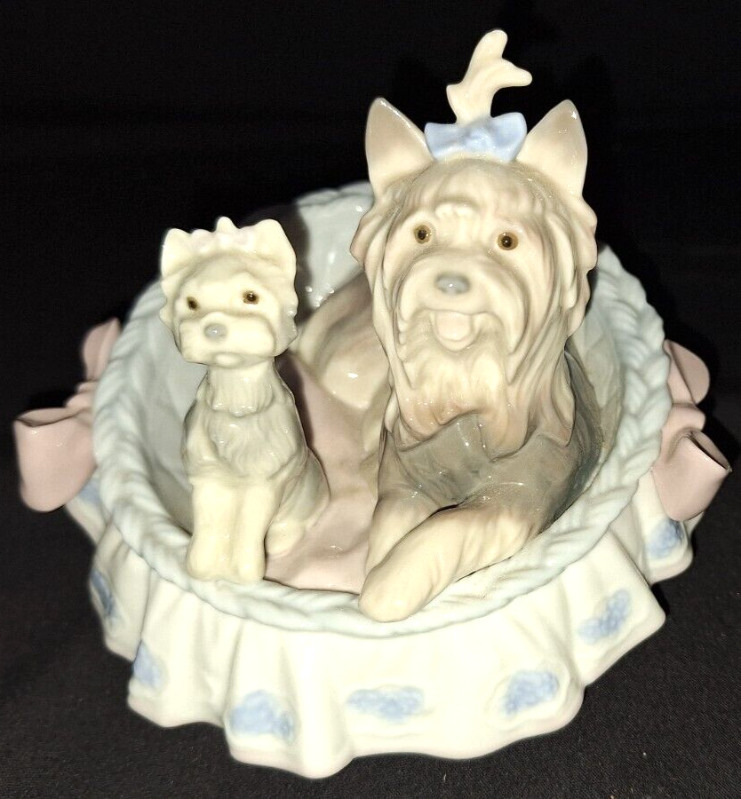 LLADRO YORKIE YORKSHIRE TERRIER DOG Our Cozy Home #6469 RETIRED PORCELAIN FIGURE