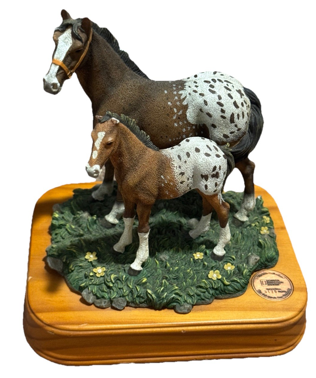San Francisco Music Box Co National Geographic Appaloosa Horses Born Free Song
