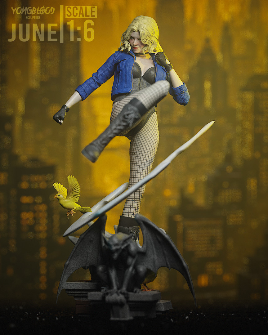 Black Canary Figurine DC Comics Hand Painted Model / DIY Kit 16 pcs