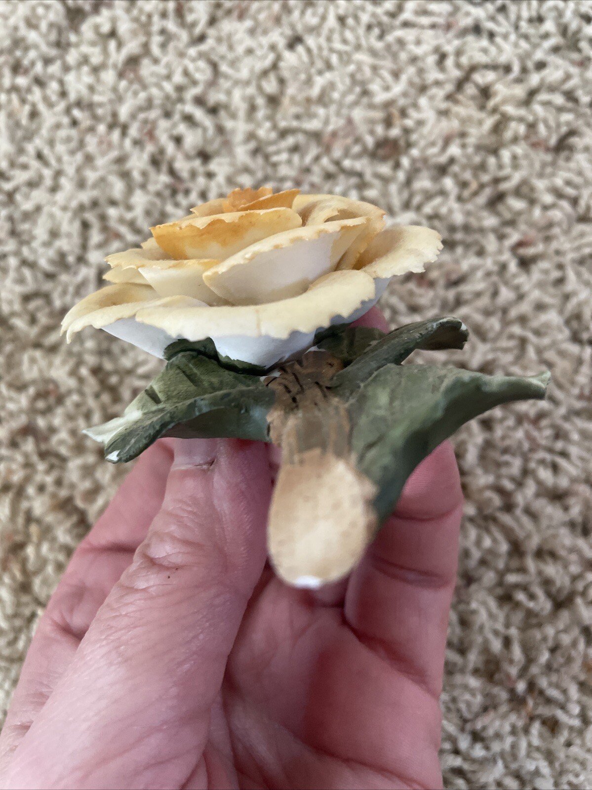 Delicate Possible Porcelain Rose On A Branch With Leaves