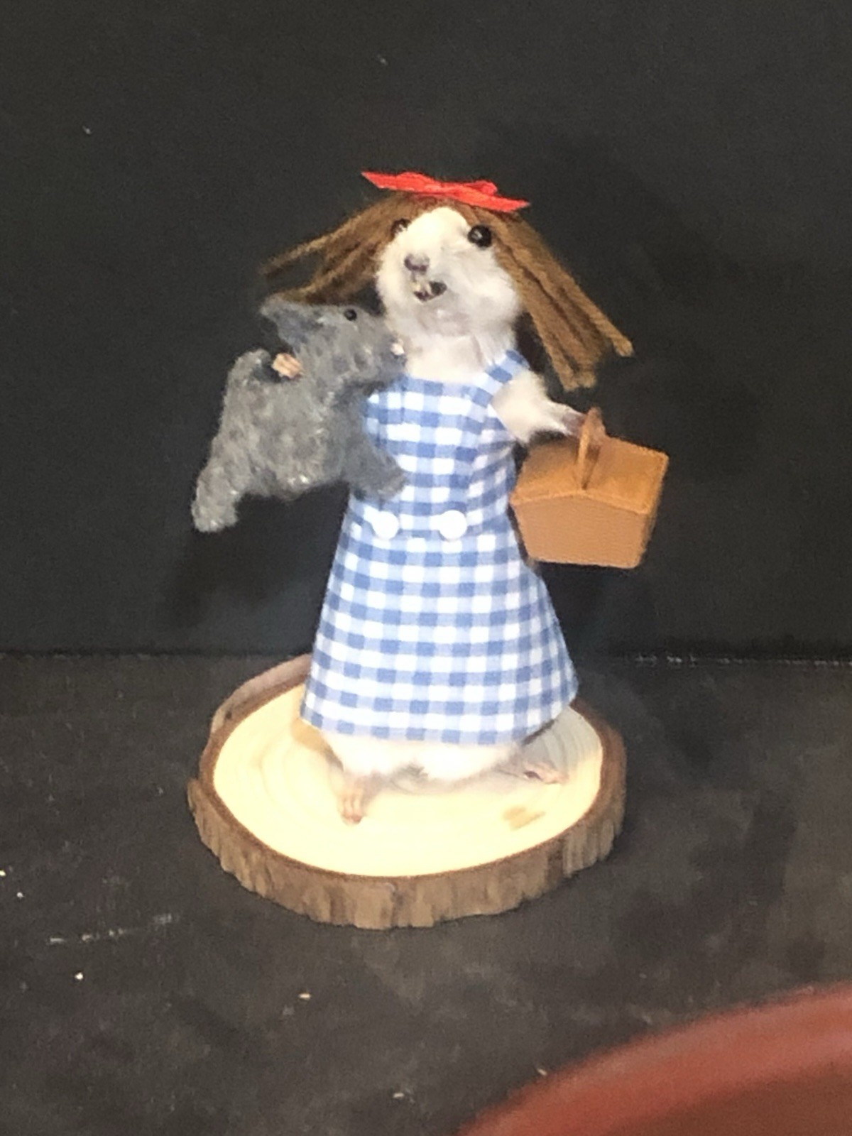 Taxidermy large rat DIY kit with real skin white
