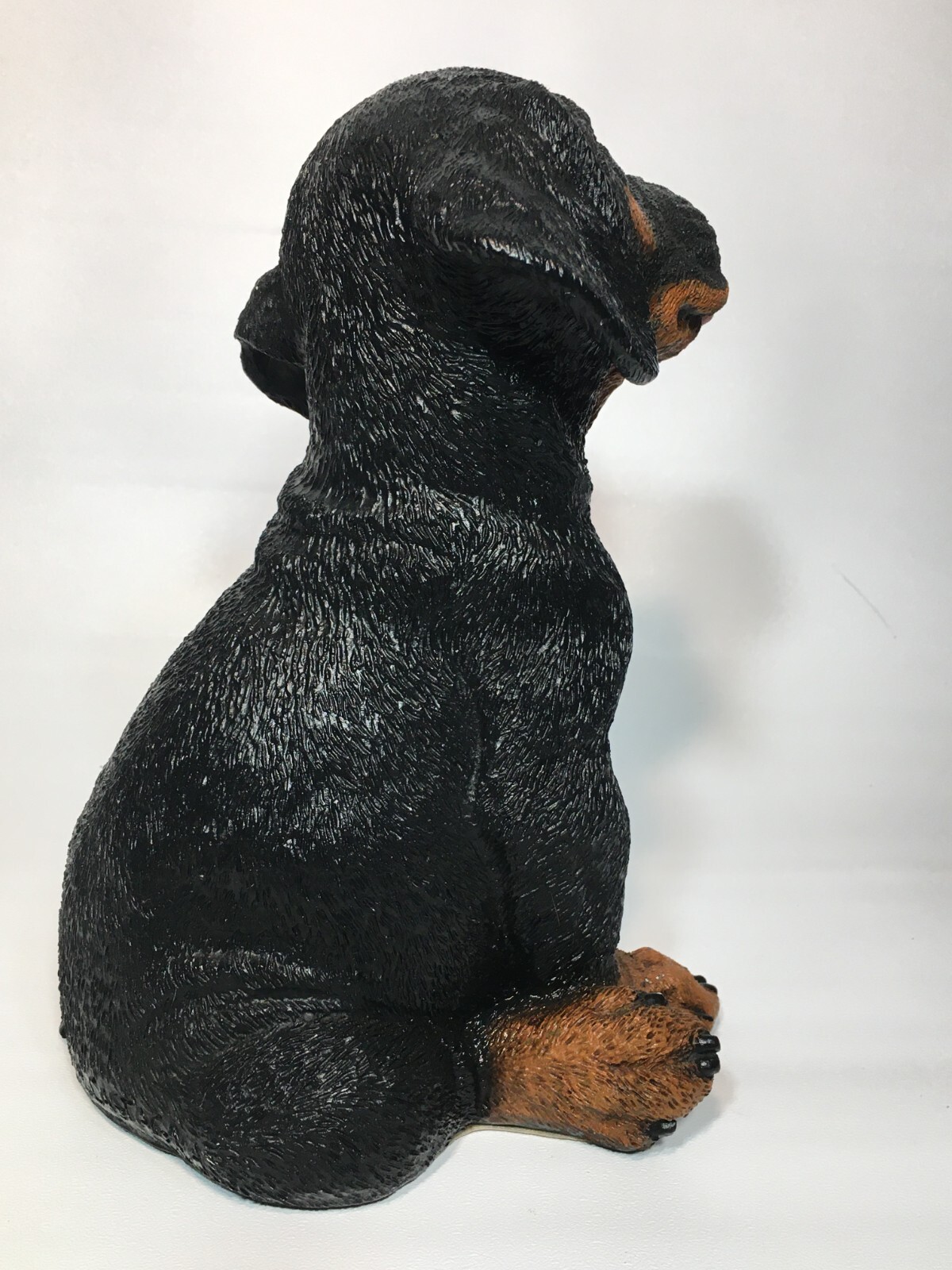 Castagna Infrangible Line Rottweiler Rotty Puppy Dog Made in Italy