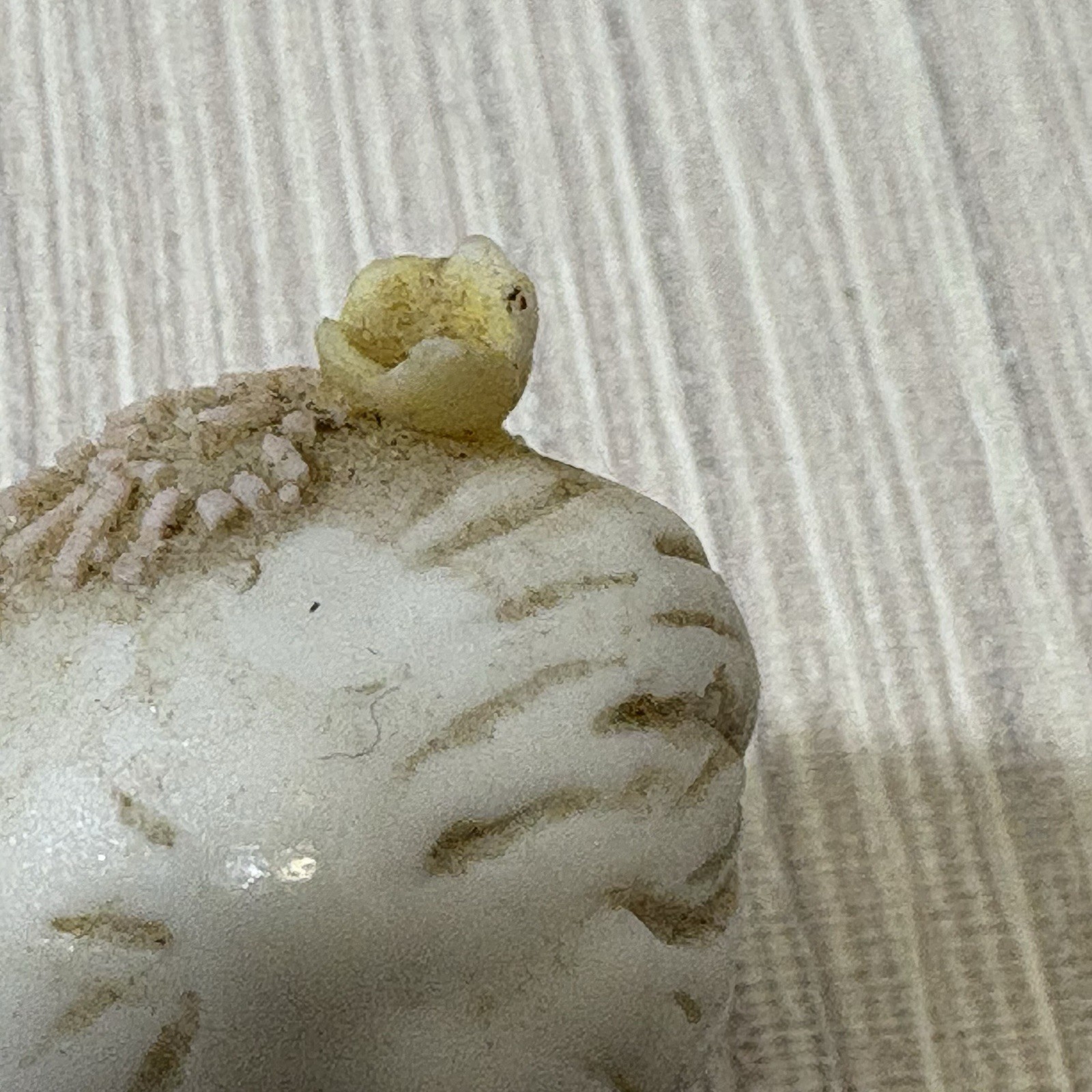 Vintage Napcoware Mini Anthropomorphic Puppy Spaghetti Porcelain FREE SHIPPING
