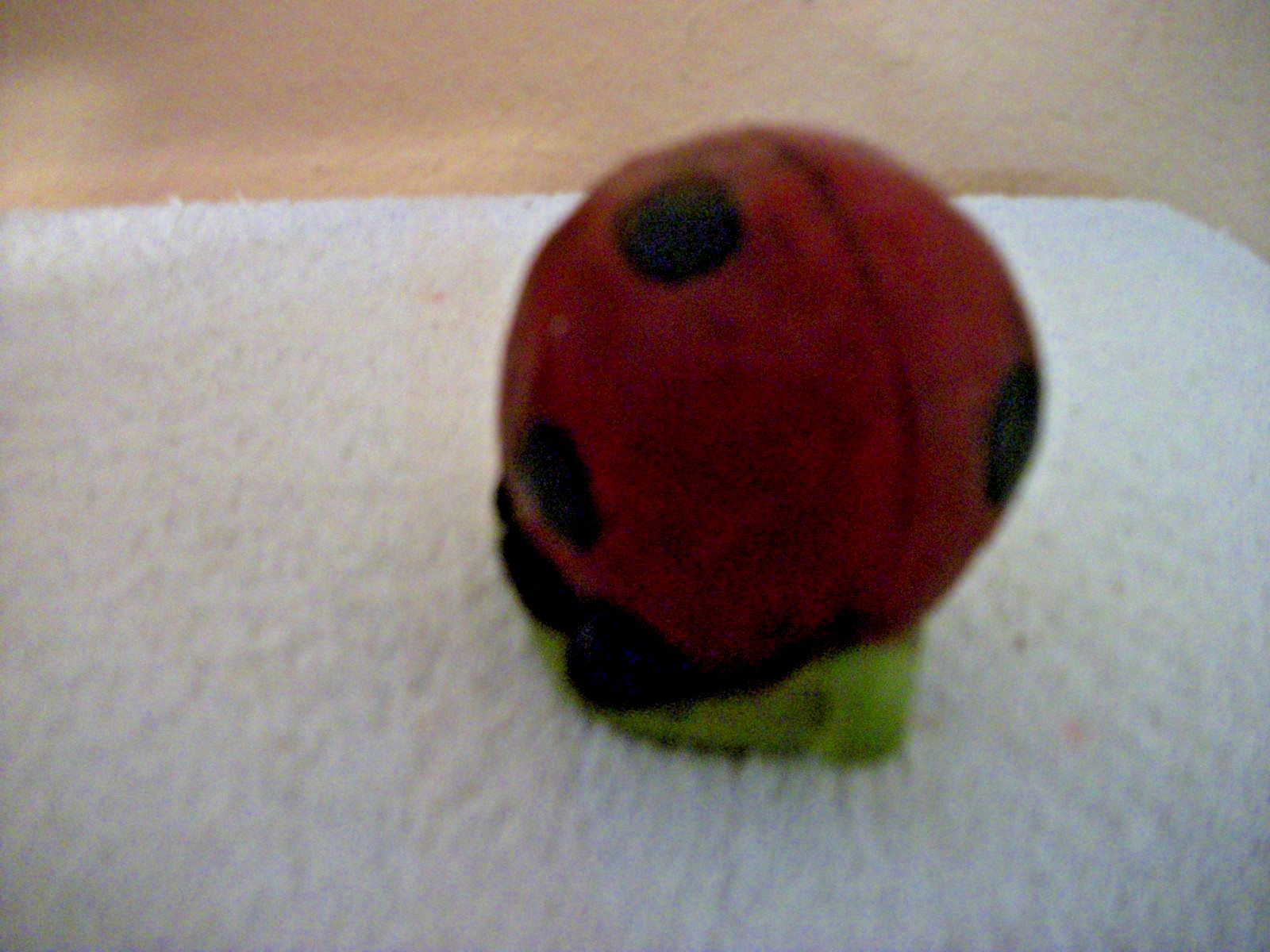 Ladybug Figurine