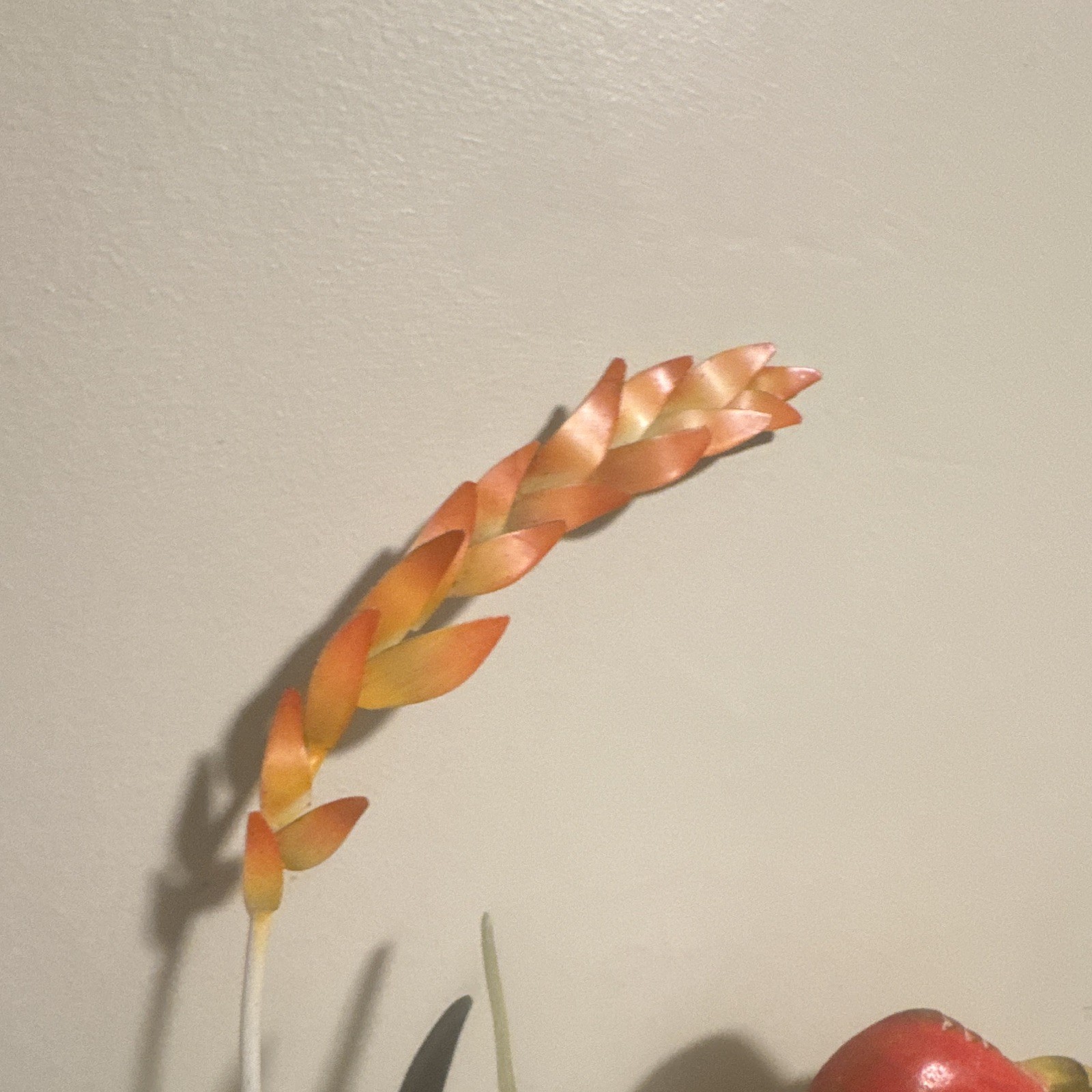 Joanne Ferrara Tropical Sculptural Wall Hanging Parrots Red/Orange/Yellow