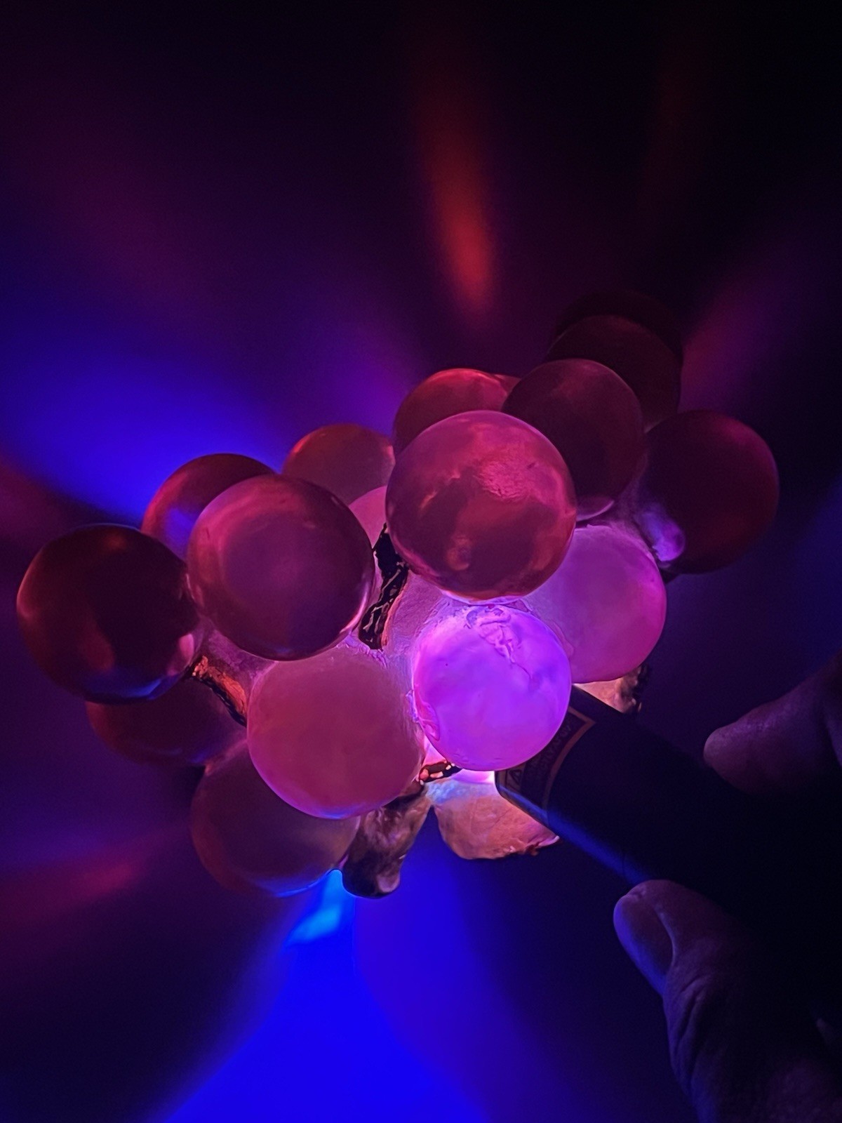 VTG MCM Lucite Purple Grape Cluster Resin Grapes UV Reactive Black Light GLOWS