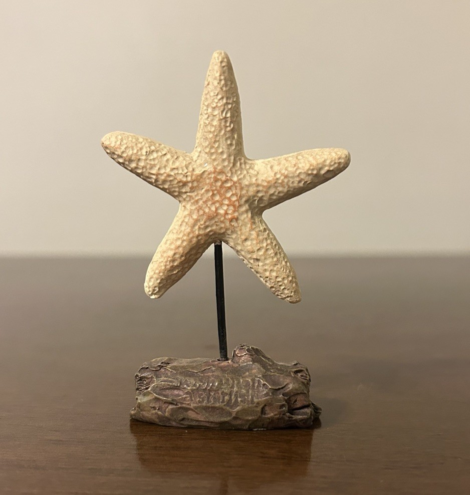 VHTF Blossom Bucket Seashell Starfish Resin Driftwood Figurine Robin Davis