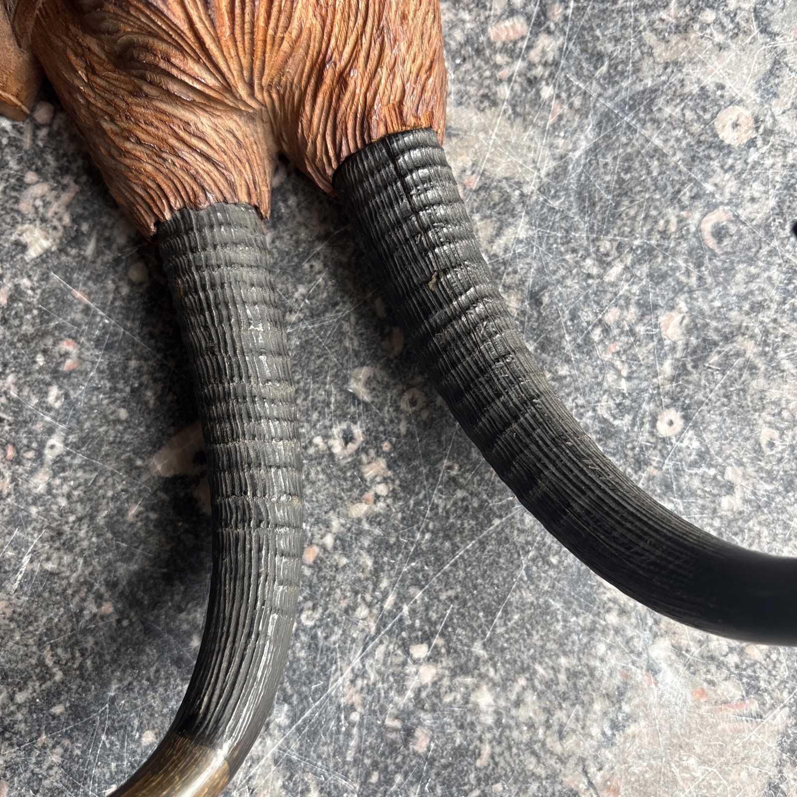 LARGE BLACK FOREST HAND-CARVED FOX WHIP HOOK ANTHROPOMORPHIC GLASS EYES “READ”
