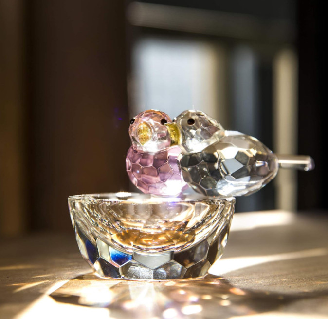 NEW Swarovski Crystal 2024 Crystal Bird Figurine Collectible Art Glass Home Deco