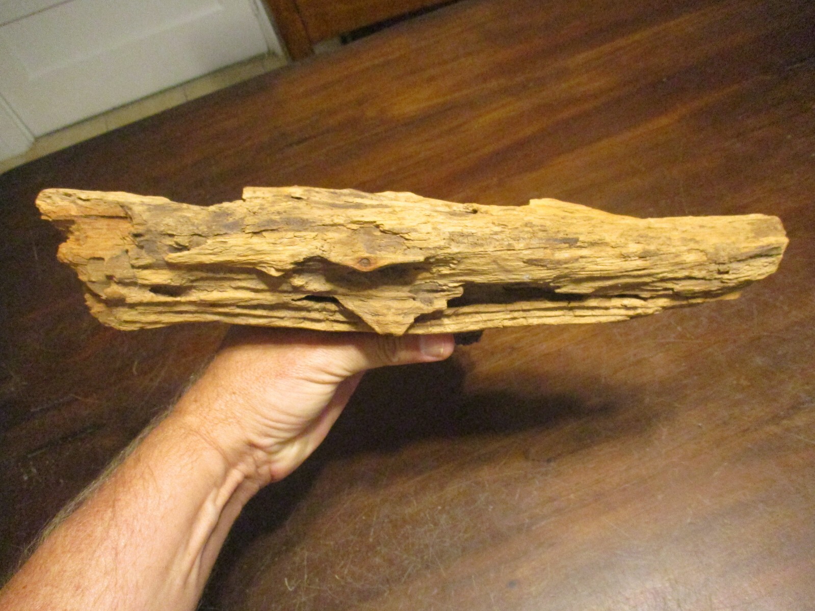 Hand Carved driftwood artist signed Old bearded Man wood Spirits folk art