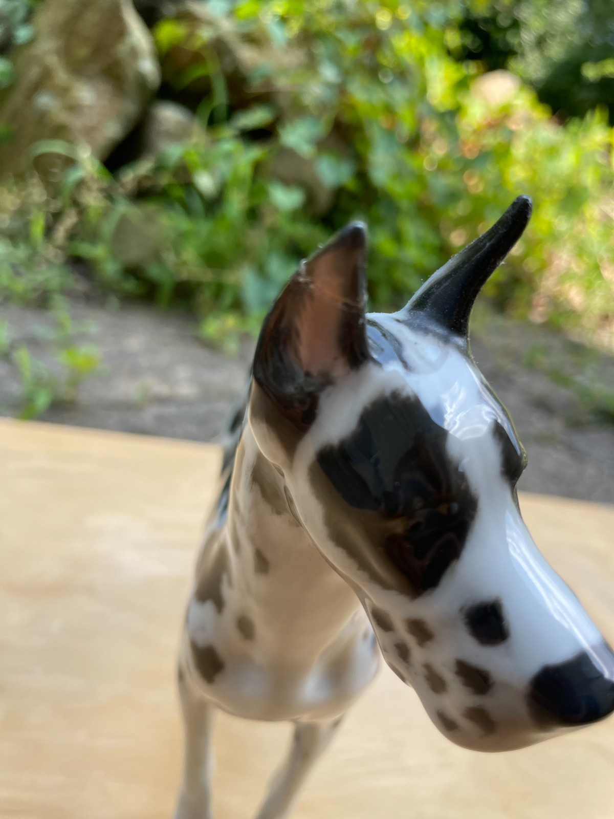 ROSENTHAL GERMANY – Harlequin Spotted Great Dane – 1960’s Hand Painted Porcelain