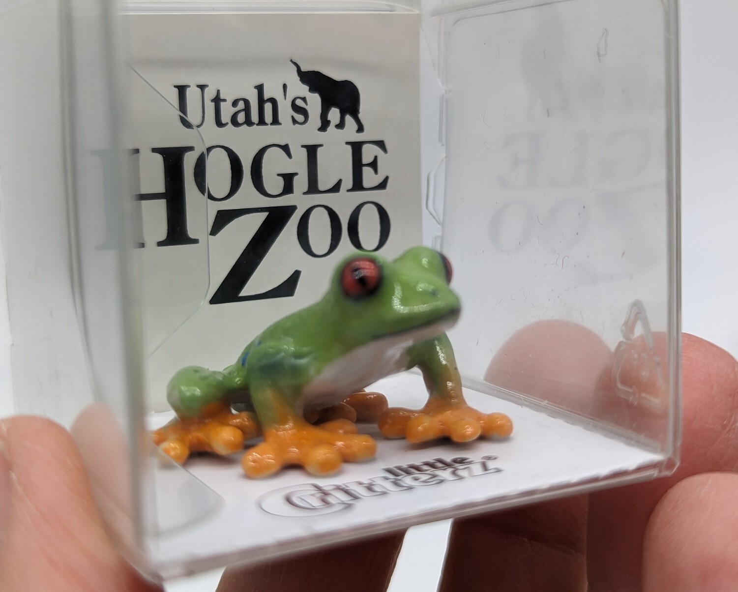 Lot /2 Little Critterz Red-Eyed & Leopard Frogs Hand-Painted Porcelain Mini Figs