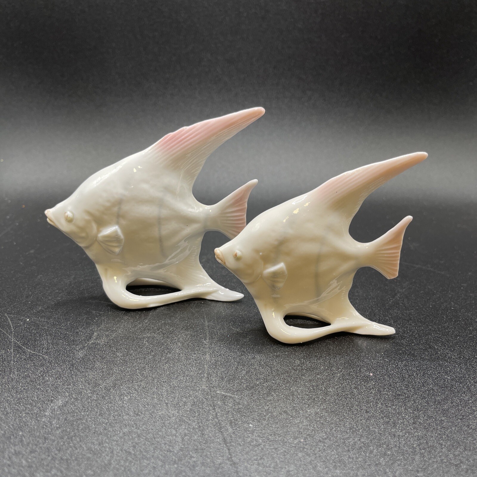 Bone China Angel Fish