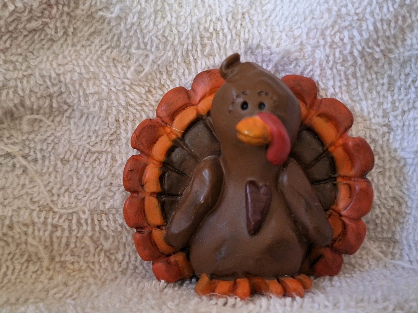 Suzi Artist, Turkey With His Tail Feathers Spread Out.